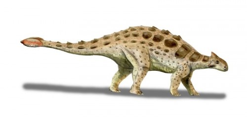 ficha-Ankylosaurus