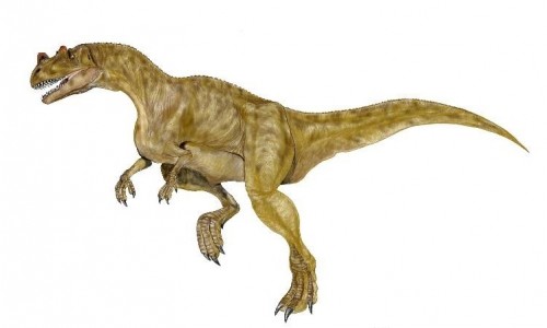 ficha-Ceratosaurus