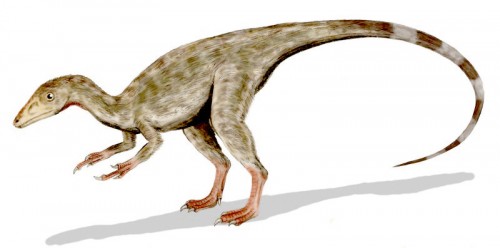 ficha-Compsognathus
