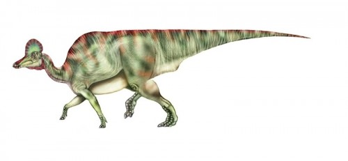 ficha-Corythosaurus