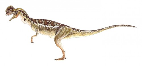 ficha-Dilophosaurus