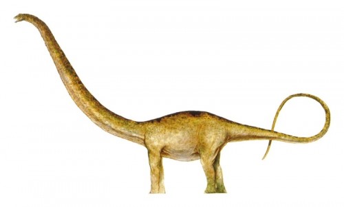 ficha-Mamenchisaurus