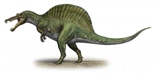ficha-Spinosaurus
