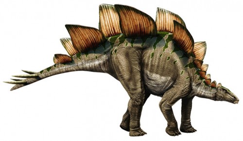 ficha-Stegosaurus
