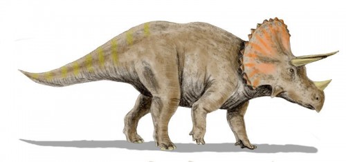 ficha-Triceratops