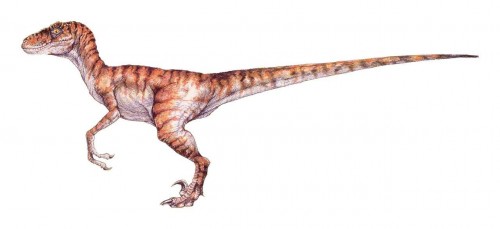 ficha-velociraptor