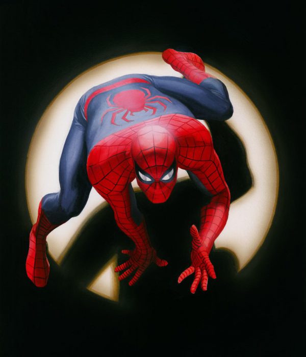 Spider Man Marvels copy