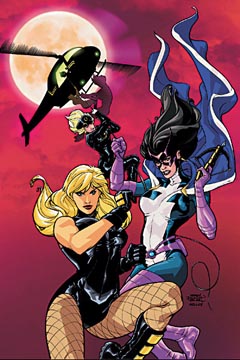 Birds of Prey #92 por Terry y Rachel Dodson