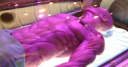 SDCC 2010: Primer vistazo a Abin Sur, y Chew a la TV