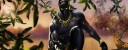 Cuatro aspirantes al trono de Wakanda… en el cine