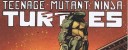 Teenage Mutant Ninja Turtles (IDW), #1-12.