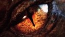 Primer trailer de El Hobbit: La desolación de Smaug