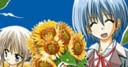 MundoManga: Hayate, Mayordomo de Combate Hayate pequeña