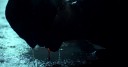 Daredevil_Destacada
