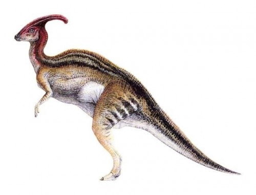 ficha-Parasaurolophus