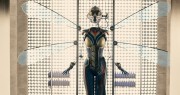 #ZNCine – Marvel anuncia por sorpresa la secuela de Ant-Man