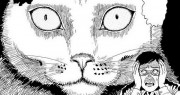 El diario gatuno de Junji Ito