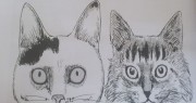 El diario gatuno de Junji Ito: Yon y Mû