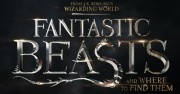 #ZNCine – Primer tráiler de Animales fantásticos y dónde encontrarlos