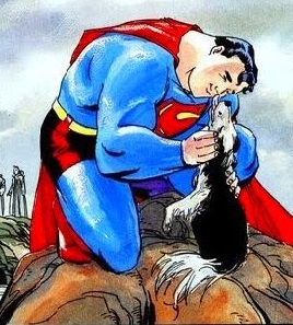 Superman_For_All_Seasons