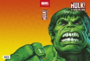 Marvel Limited Edition. Especial The Hulk!