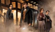 #ZNCine – Crítica de Animales Fantásticos y Dónde Encontrarlos, de David Yates animales5