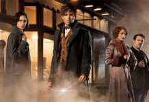 #ZNCine – Crítica de Animales Fantásticos y Dónde Encontrarlos, de David Yates animales5