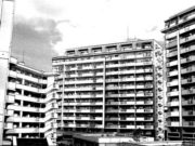 El barrio de la luz