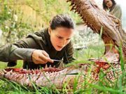 #ZNCine – Crítica de Aniquilación, de Alex Garland ANIQUI_DEST