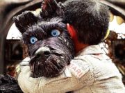 #ZNCine – Crítica de Isla de perros, de Wes Anderson DOG_DEST