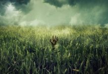 #ZNCine – Crítica de En la hierba alta, de Vincenzo Natali