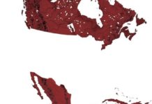 Servicio Informativo del Cómic Independiente USA #359