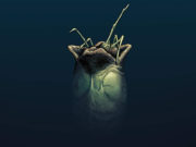 Alien 3, el guion no filmado
