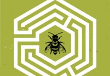 semillas, de ann nocenti y david aja