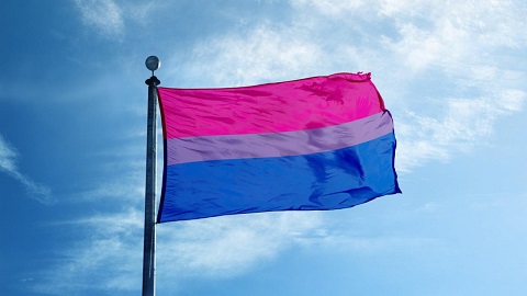 La bandera bisexual