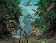 Amazonia, de Leo, Rodolphe y Marchal Amazonia