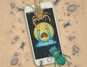 Los años de internet, de Damian Bradfield y David Sánchez