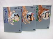 El país de Tanabata 3, de IWAAKI Hitoshi