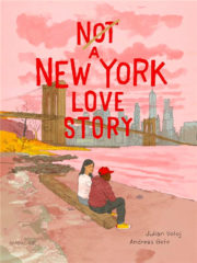 Not a new york love story coverZN