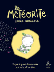 AA La meteorite coverZN
