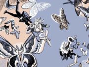 Roaming, de Mariko Tamaki y Jillian Tamaki