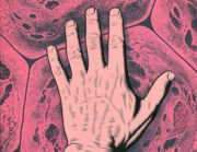 Laberintos 3, de Charles Burns