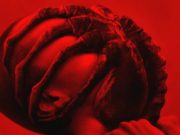 #ZNCine – Crítica de Alien: Romulus, de Fede Álvarez