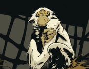 El dios salvaje, de Fabien Vehlmann y Roger