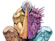 Reseñas DC USA – Metamorpho #1 de Al Ewing y Steve Lieber