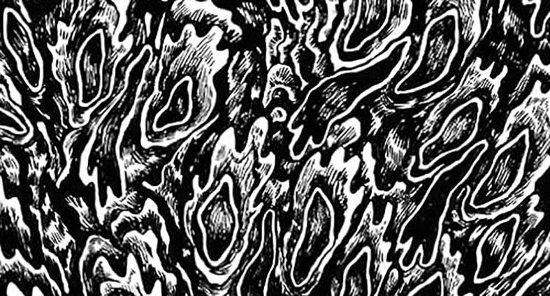 Alimentar a los fantasmas - interior