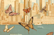 Insectópolis, de Peter Kuper