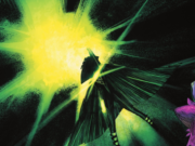 Reseña DC USA – Green Lantern Dark #1
