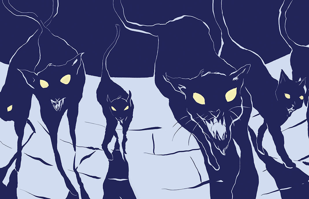 la-noche-de-los-gatos-destacada